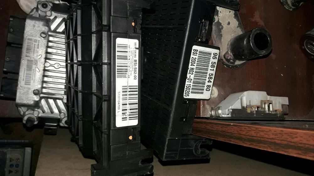 BSM BSI над 100 вида пежо ситроен и други