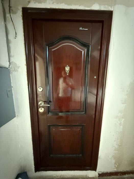 Vand usa metalica de apartament 205x90 cm