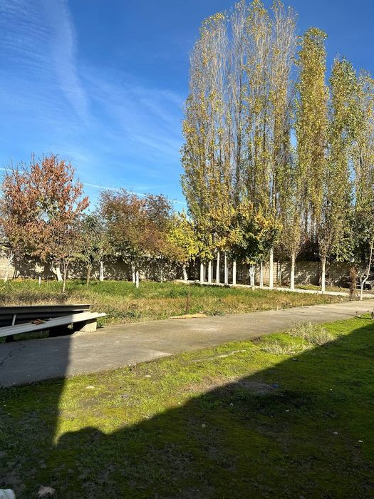 Участка 10 сотих