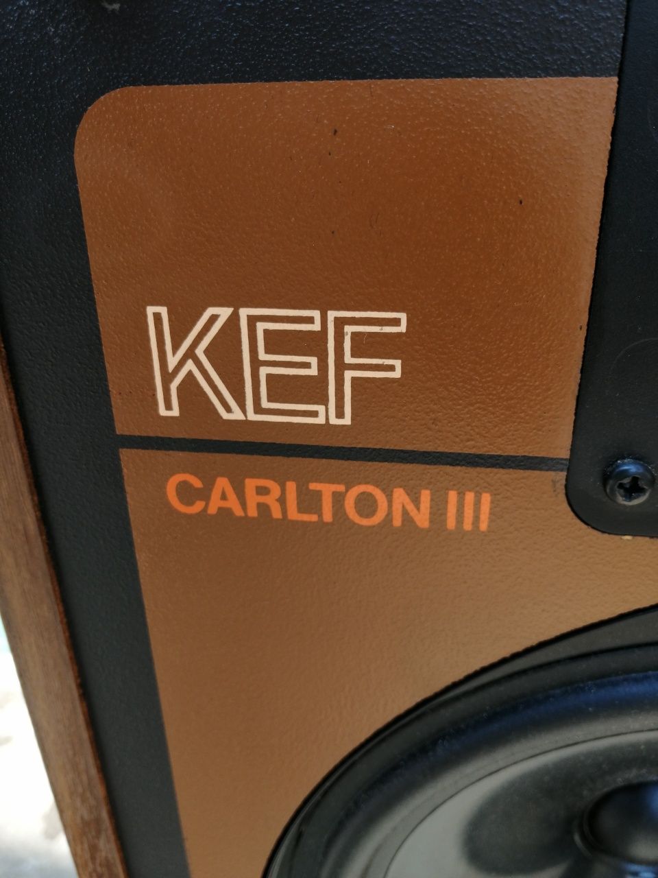 Kef-Carlton iii тонколони