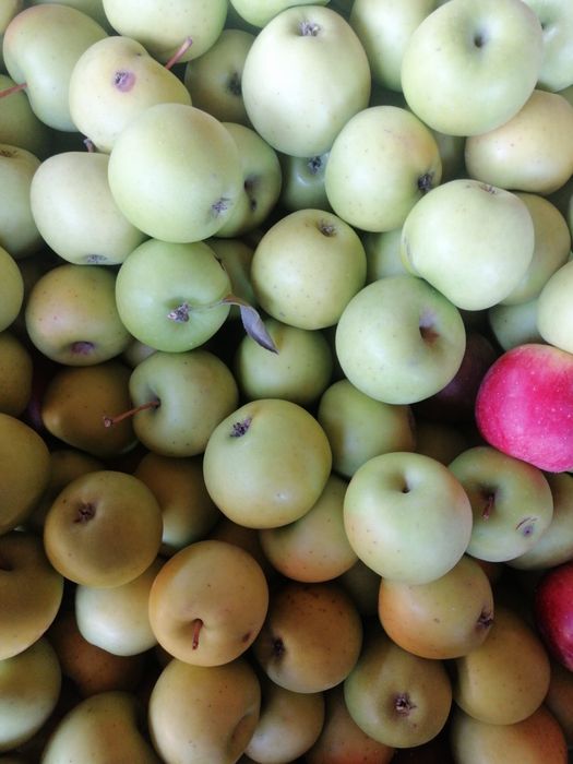 mere romanesti 3 lei