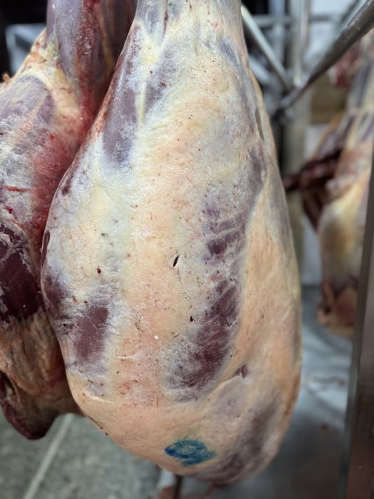 Конина говядина на согым