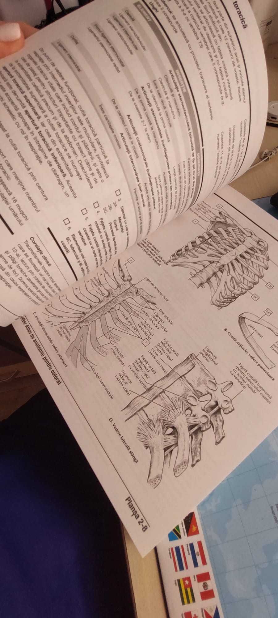 Atlas NETTER, Culegeri teste medicina