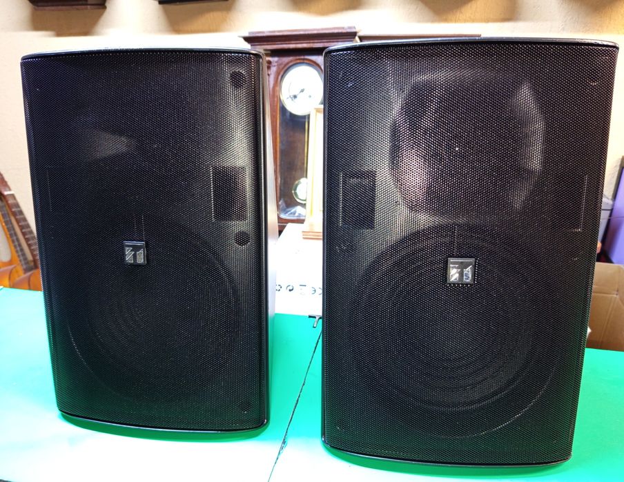 Set 2 boxe profesionale 2 cai 180W 8ohm TOA F-2000B