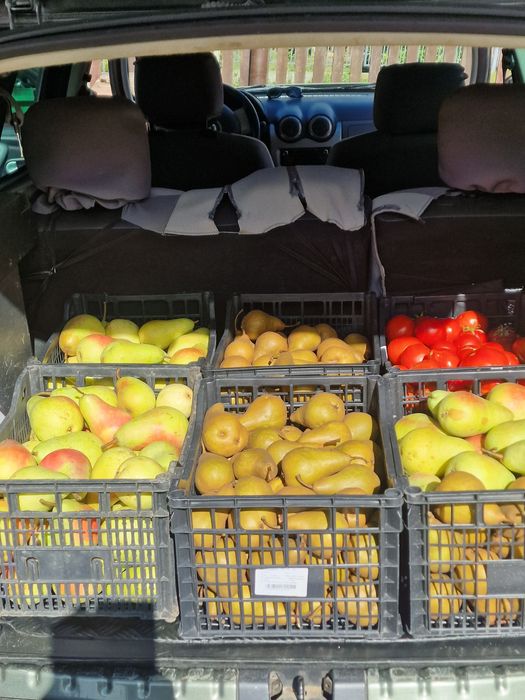 Pere jambon si monica si mere ionatan soiul bătrânesc