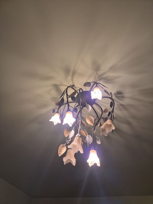 Lustra cu design elegant