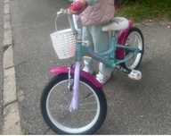 Bicicleta 16” Hervis