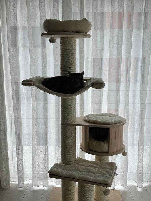 Ansamblu de joaca pisici