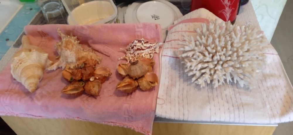 Для аквариума аксессуар смотрите фото