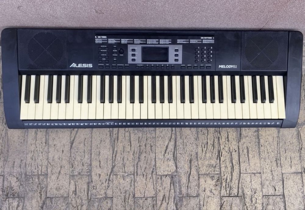 pian digital / orga electronica Alesis