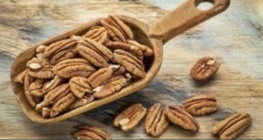 Nuc pecan soi productiv