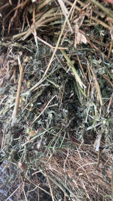 Vand baloții lucerna