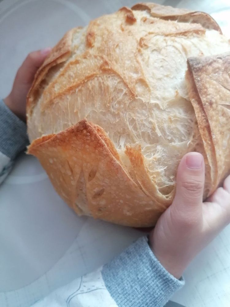Закваска обучение