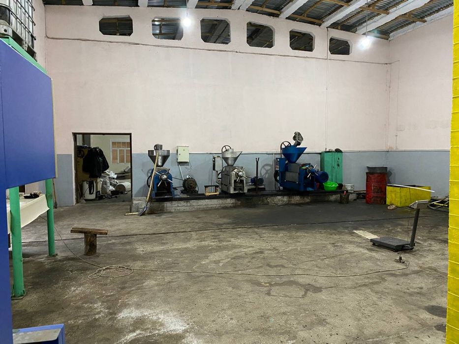 Ёг мой ишлаб чикариш