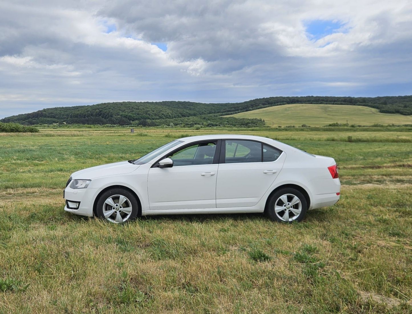 Skoda Octavia 2014