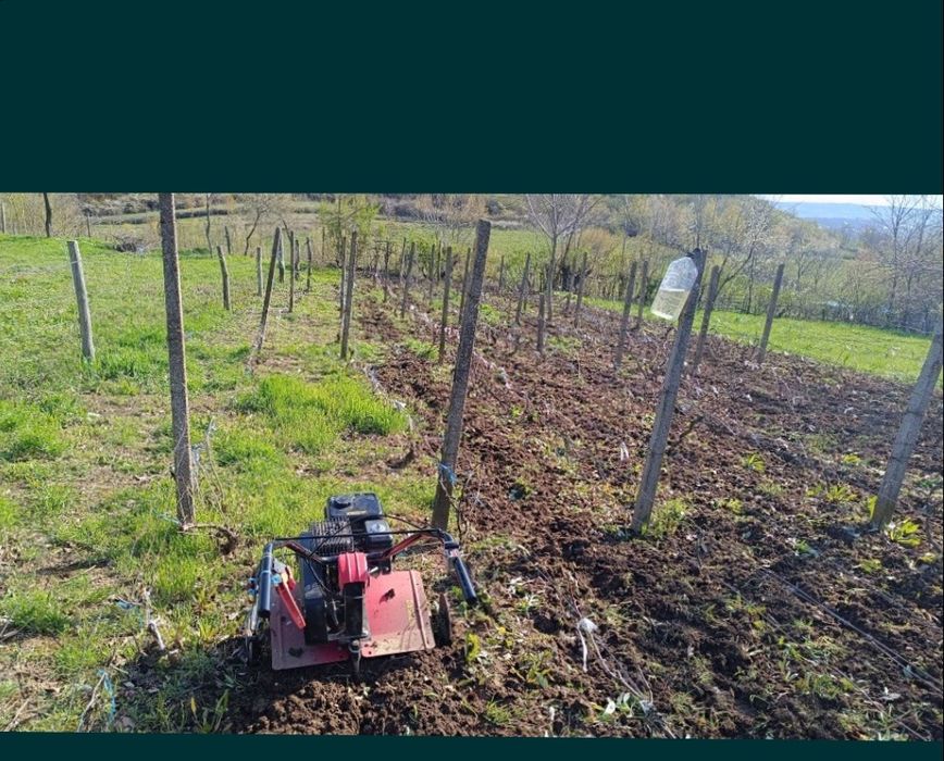 Lucrări motocultor