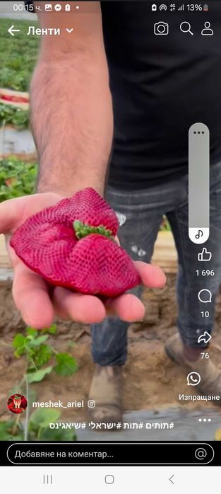Продавйм ягоди и малини