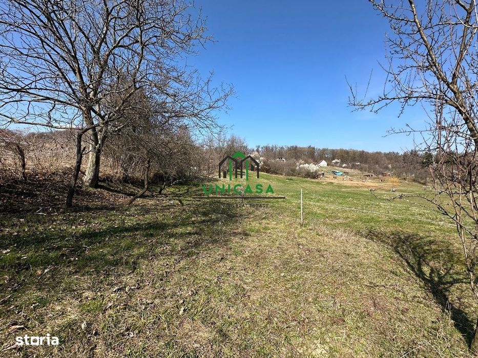 Teren Govora / 8131mp