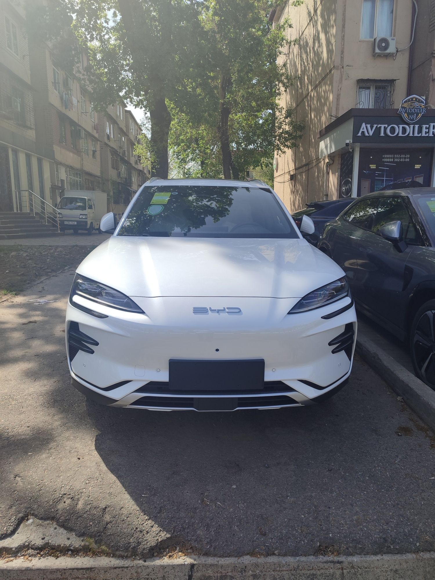 Byd champion  smart 2025/2025 нотариус