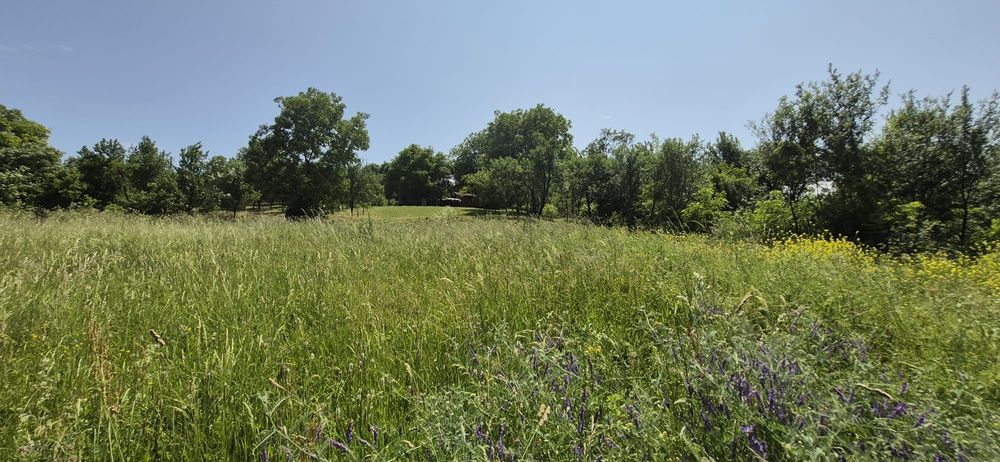 Vând teren intravilan Feiurdeni