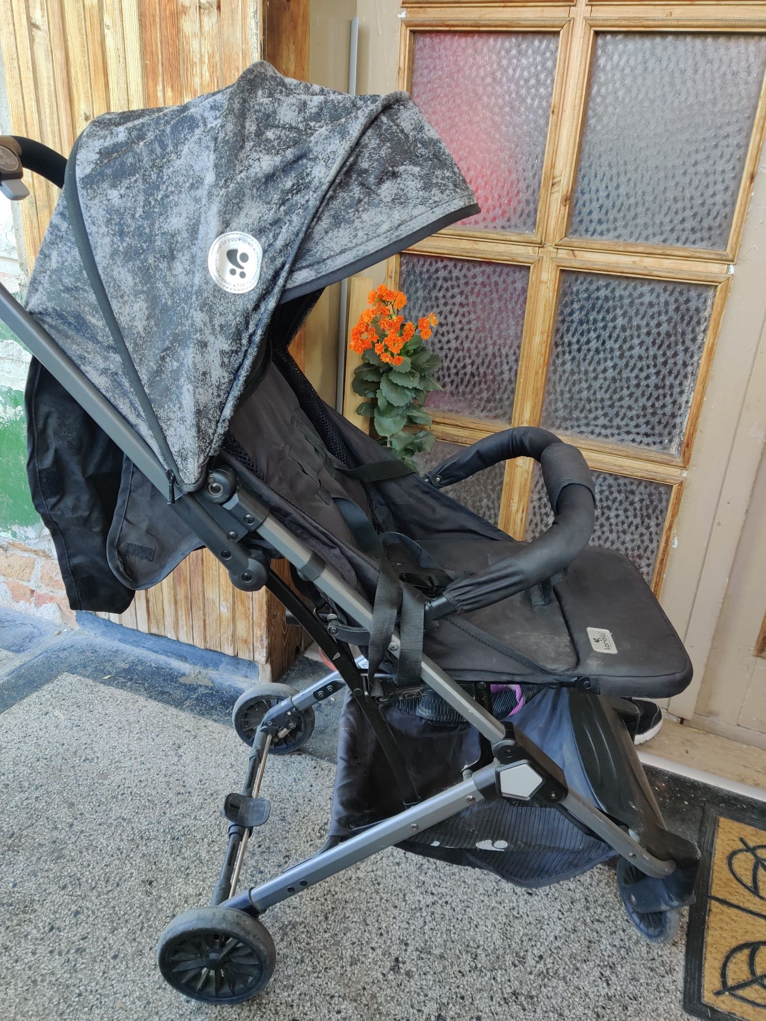 Lorelli Детска лятна количка с покривало Fiona, Carbon Design