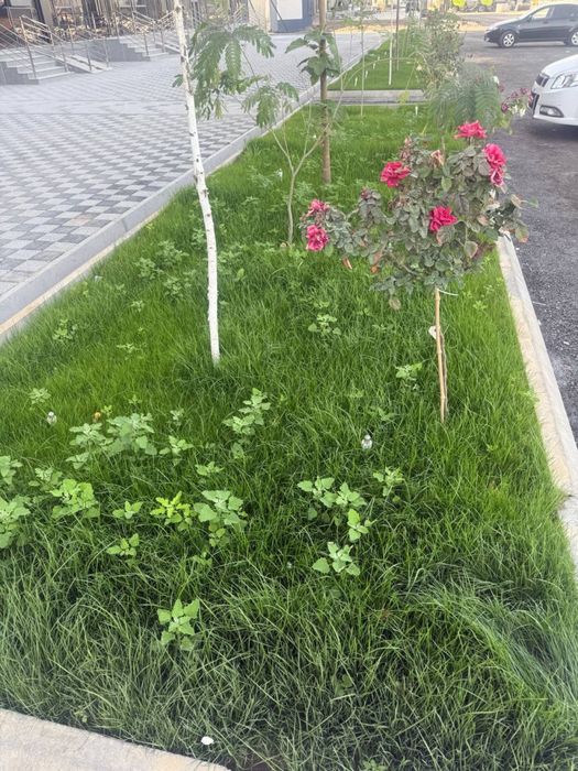 Новостройка 2 хона субсидия ипотекага