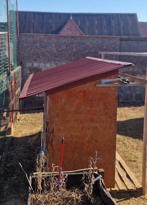 Iepuri 12 boxe pentru diverse rase