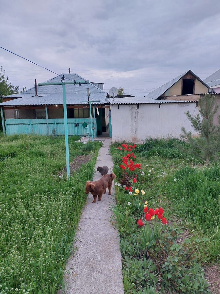 Продаётся дом в с. Сарыкемер