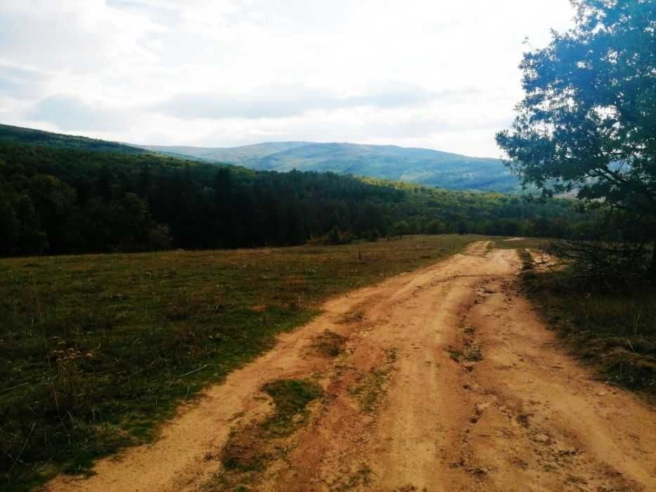 Продавам 120 декара-гори