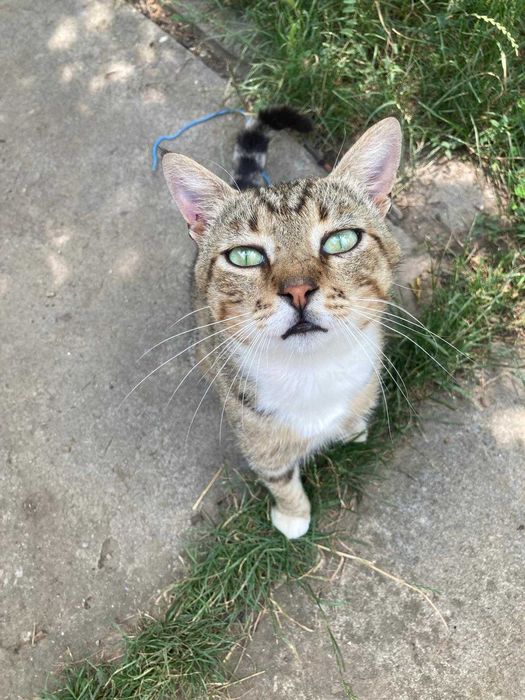 Vând casă cu teren la 45 Km de București!