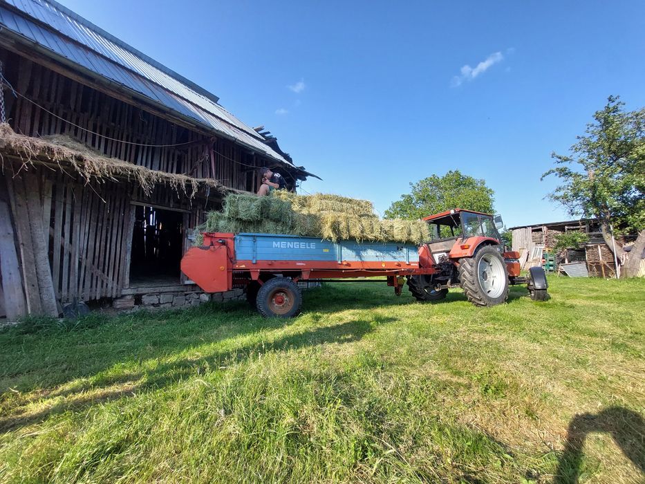 Baloti de fan productie 2025