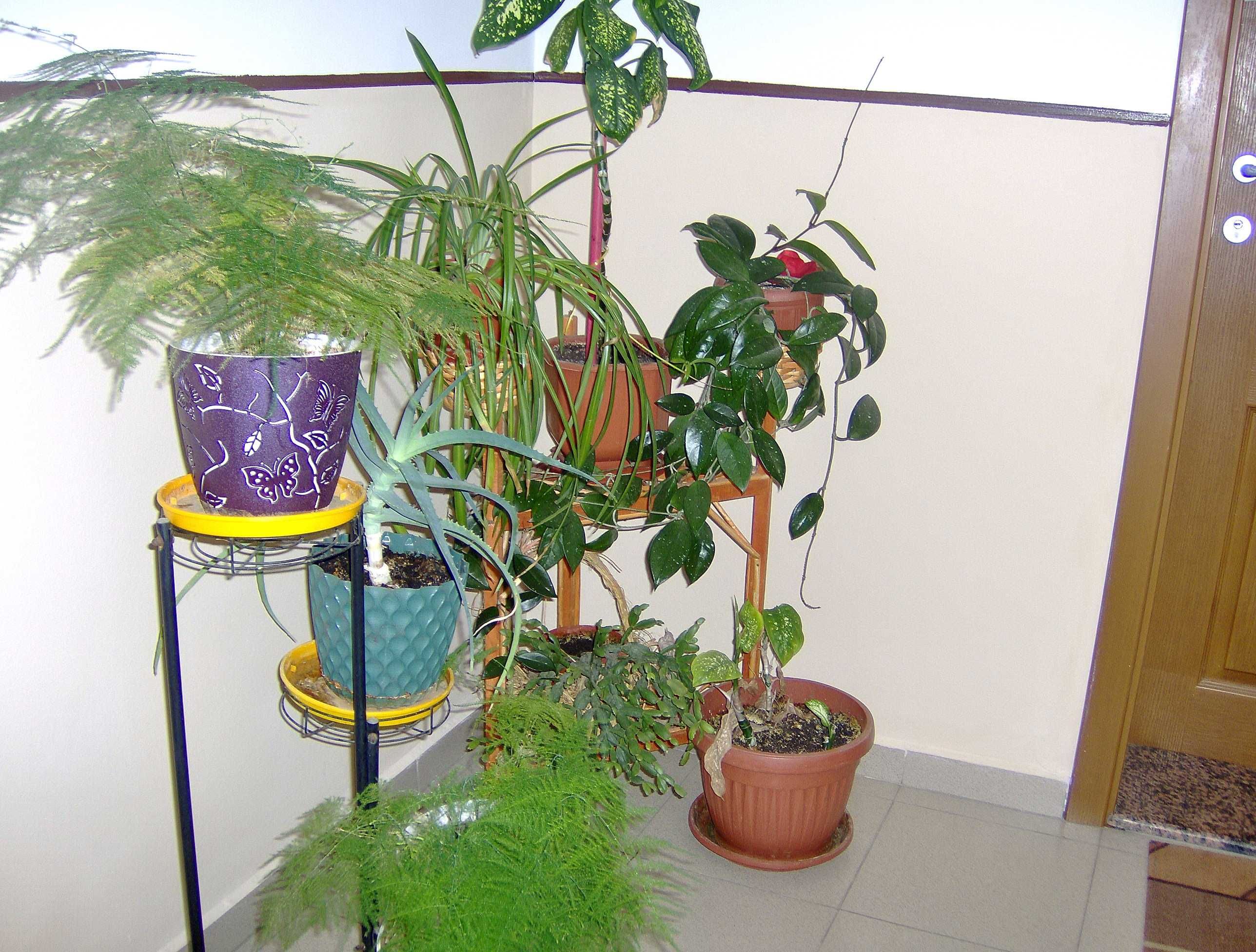 цифров фотоапарат HP Photosmart M417