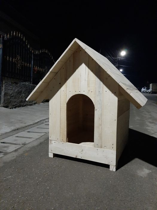 Cusca catei si pisici