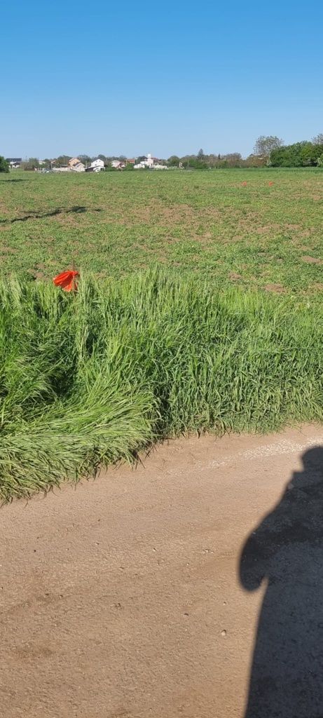 Terenuri in rate FARA AVANS langa Bucuresti