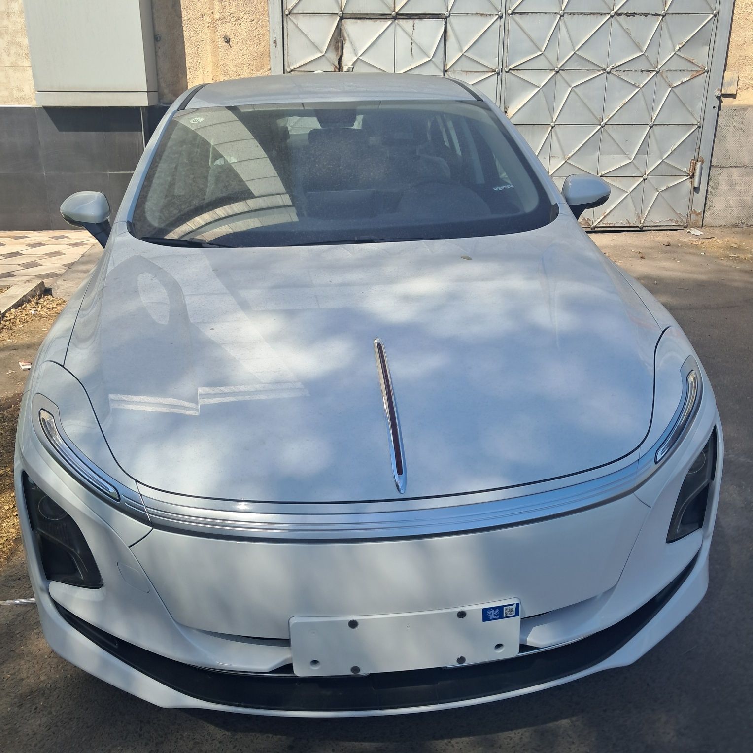 Hongqi EQM-5 2025 yil Rostaling