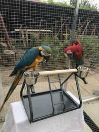 Stand papagali (suport papagali) montana cages