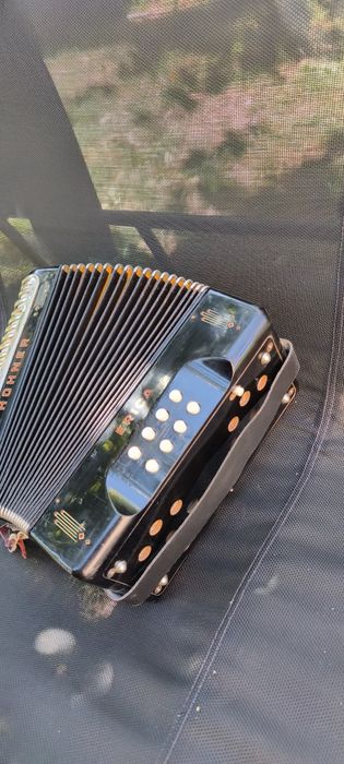 Acordeon vechi Hohner