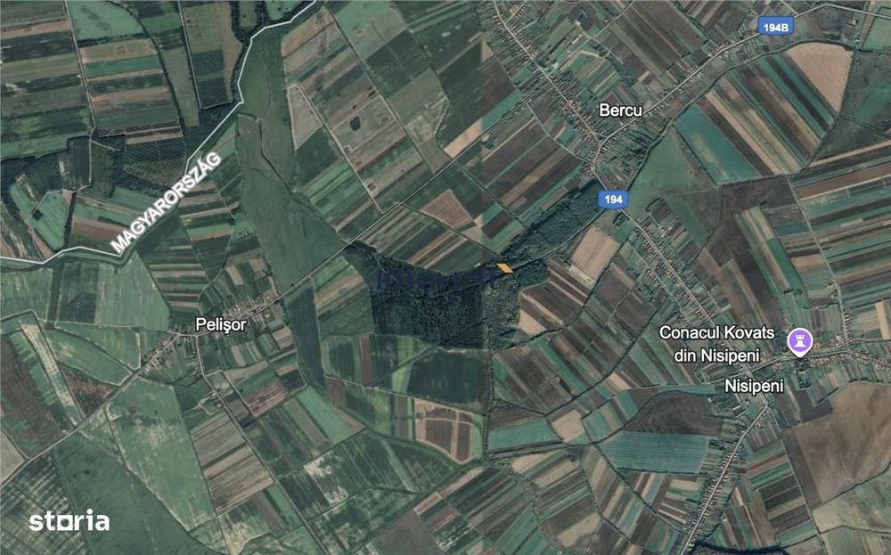 1 ha padure la Nisipeni