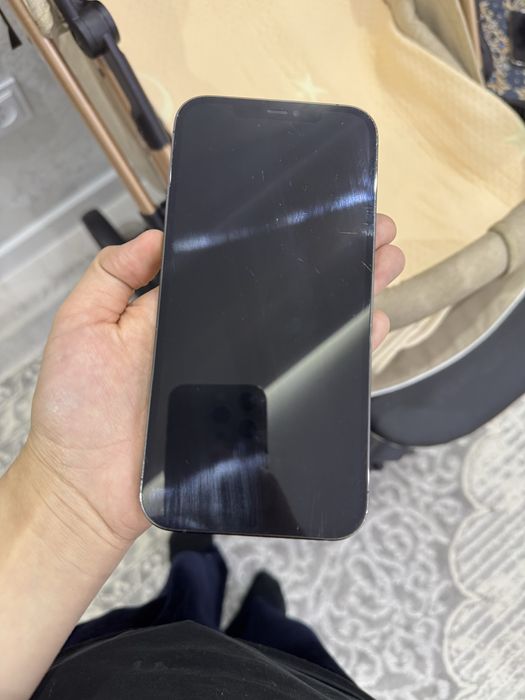 Iphone 12 Pro Max 256 Gb