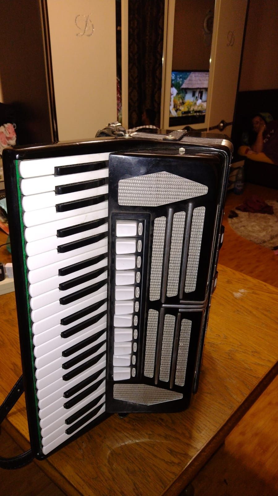 Acordeon Delicia Choral VI 120 basi