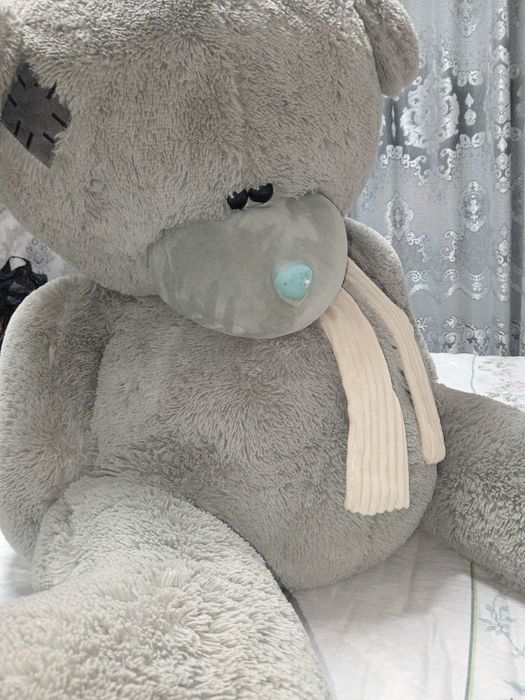 Teddy ayiq yangi hali oladiganlar aloqaga chiqsin