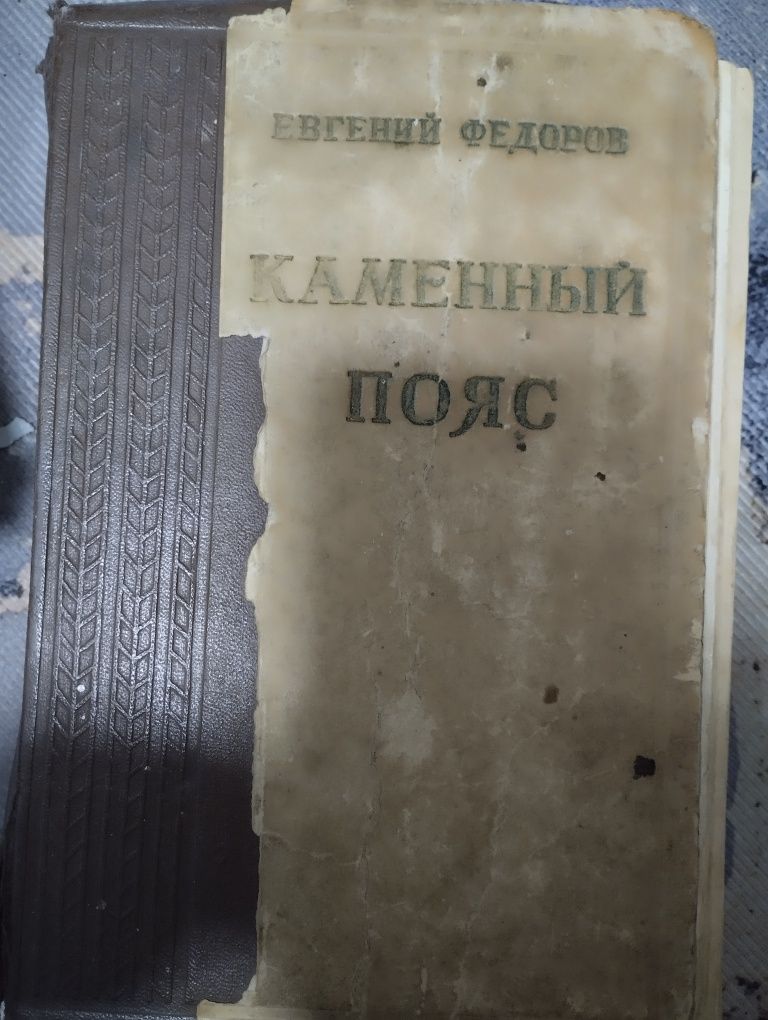 Книга каменный пояс