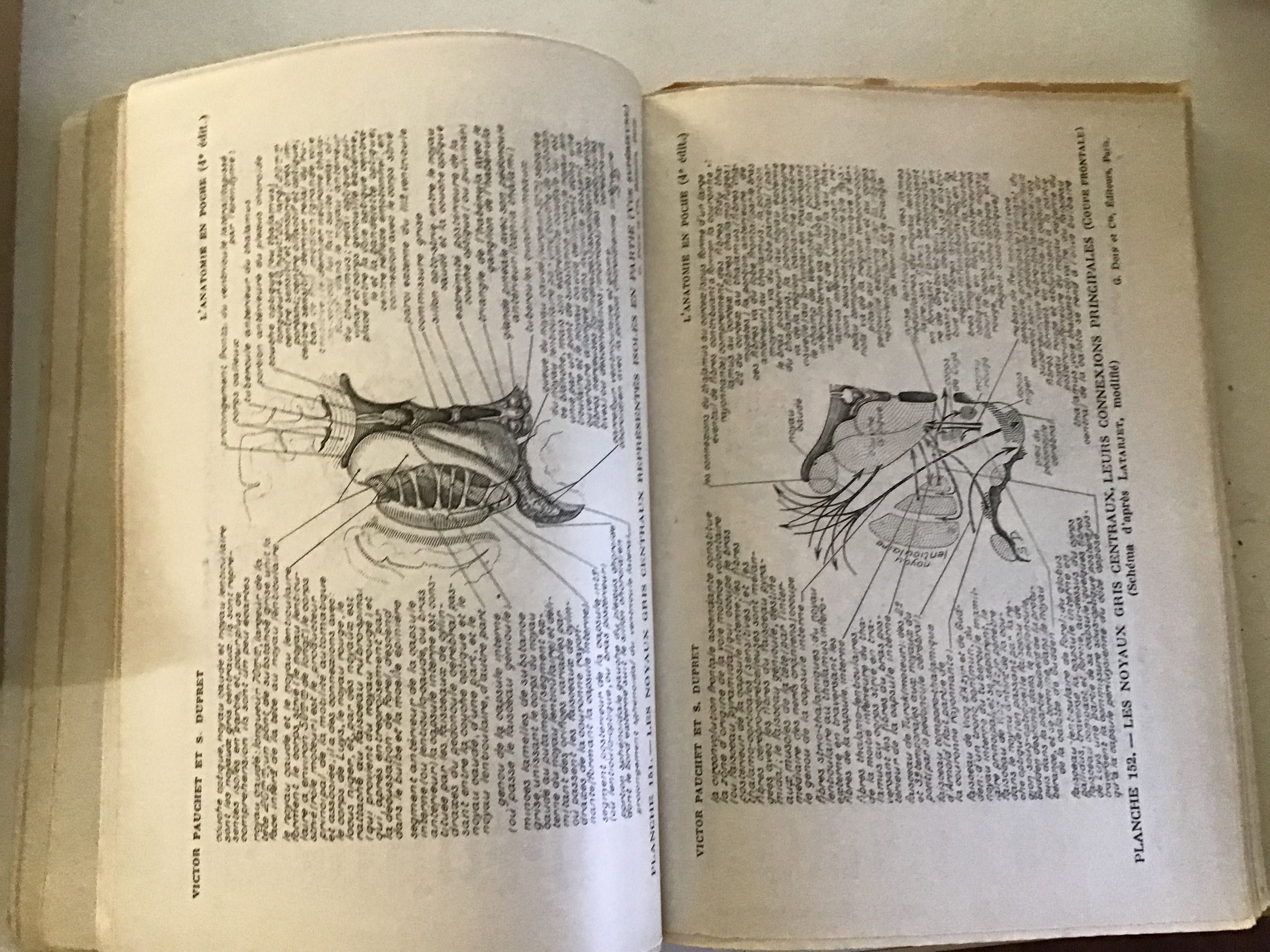 Carte de anatomie ( Anatomie en poche)