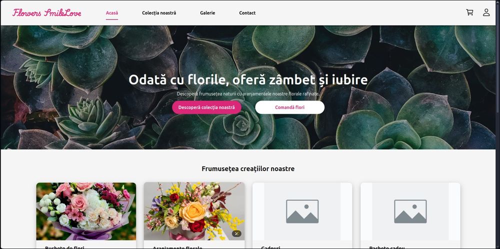 Creare site web profesional si aplicatii