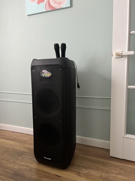 Колонка Meirende