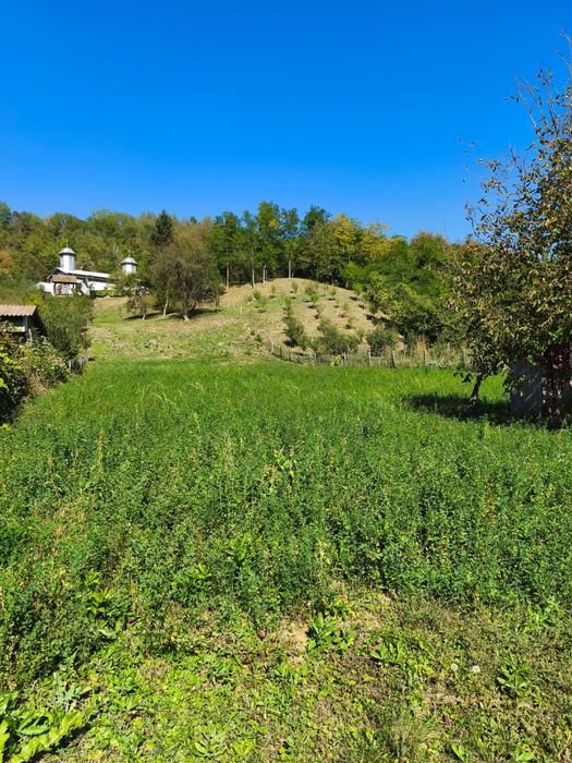 Vând teren intravilan în Valea Lungă Gorgota - Dâmbovița