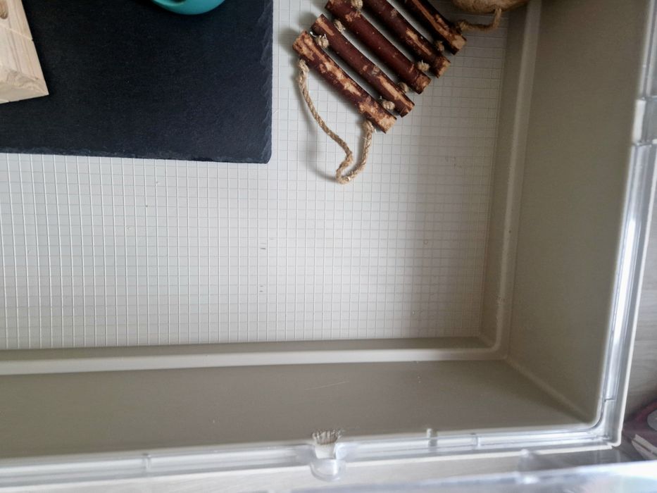 Cusca hamster/ porcusor de guineea/ cusca animalute