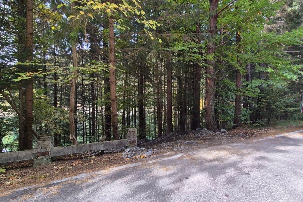 Vânzare teren Lacul Vidraru Trasfagarasan 4500 mp