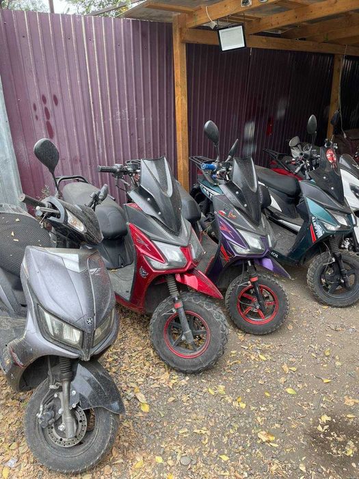 Мопедтер M8, Maxi, Samurai — ыңғайлы және сенімді жалға алу