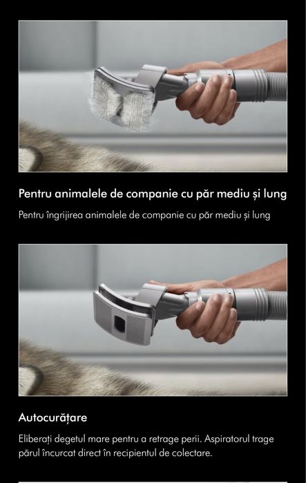 Set Dyson perie Kit de îngrijire a animalelor de companie